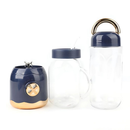 Mini Liquidificador Portátil Copo Caneca 500ml e 450ml Com 10 Lâminas, Tampa, Canudo e Copo Recarregavel